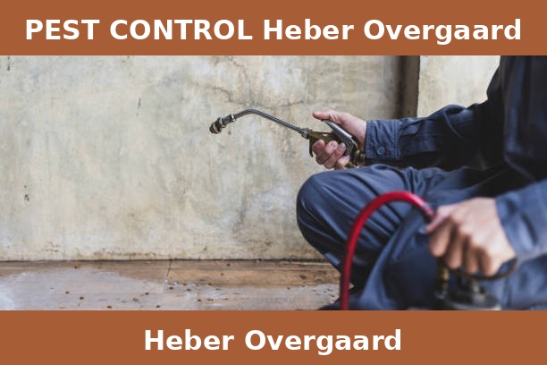 PEST CONTROL Heber Overgaard